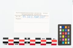 Etikett zu Eisenkonvolut (NHMW-PRAE-094301)